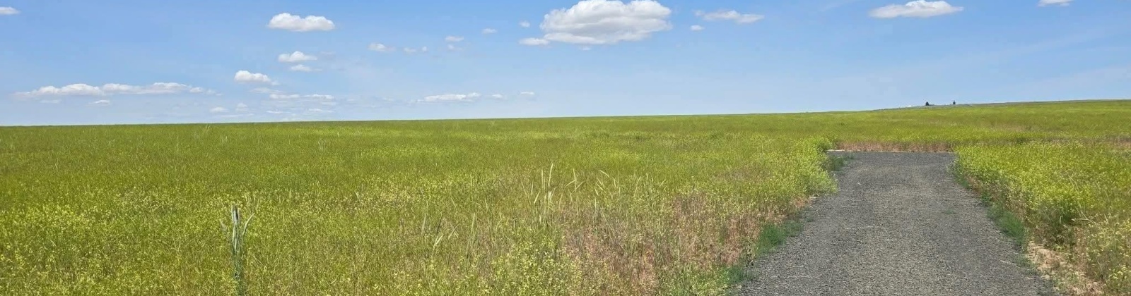 Crosby Rd, Prosser, Washington 99350, 0 , 0 ,0,Agricultural Land,For Sale,Crosby Rd,0,287992