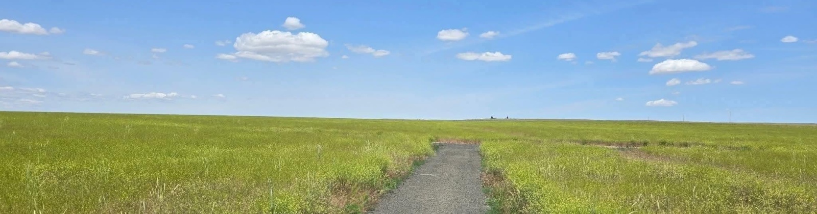 Crosby Rd, Prosser, Washington 99350, 0 , 0 ,0,Agricultural Land,For Sale,Crosby Rd,0,287992