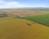 Crosby Rd, Prosser, Washington 99350, 0 , 0 ,0,Agricultural Land,For Sale,Crosby Rd,0,287992