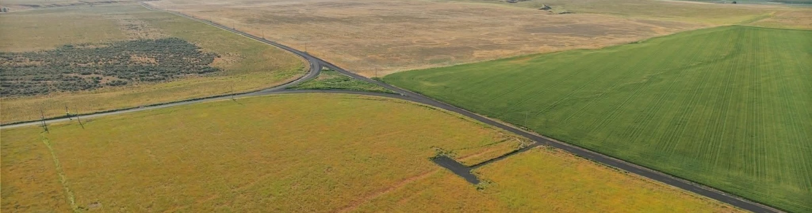 Crosby Rd, Prosser, Washington 99350, 0 , 0 ,0,Agricultural Land,For Sale,Crosby Rd,0,287992