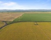 Crosby Rd, Prosser, Washington 99350, 0 , 0 ,0,Agricultural Land,For Sale,Crosby Rd,0,287992
