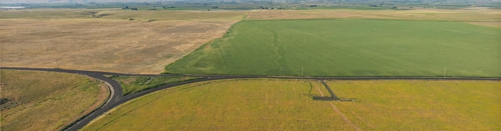 Crosby Rd, Prosser, Washington 99350, 0 , 0 ,0,Agricultural Land,For Sale,Crosby Rd,0,287992