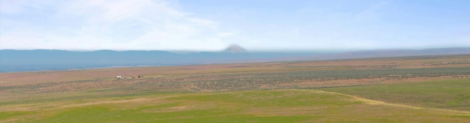 Crosby Rd, Prosser, Washington 99350, 0 , 0 ,0,Agricultural Land,For Sale,Crosby Rd,0,287992