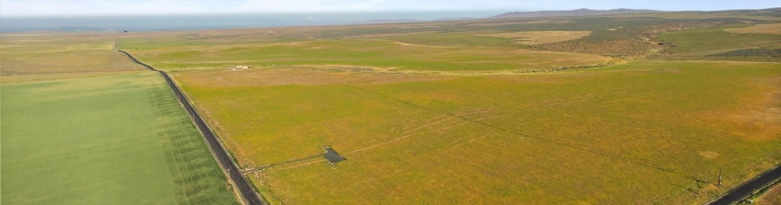 Crosby Rd, Prosser, Washington 99350, 0 , 0 ,0,Agricultural Land,For Sale,Crosby Rd,0,287992