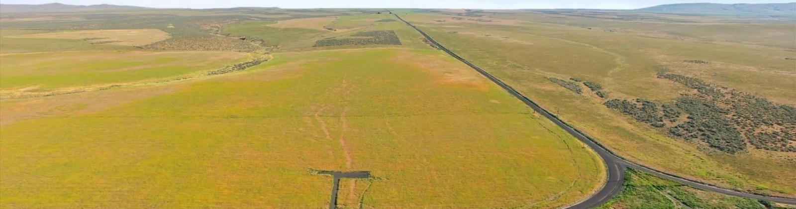 Crosby Rd, Prosser, Washington 99350, 0 , 0 ,0,Agricultural Land,For Sale,Crosby Rd,0,287992