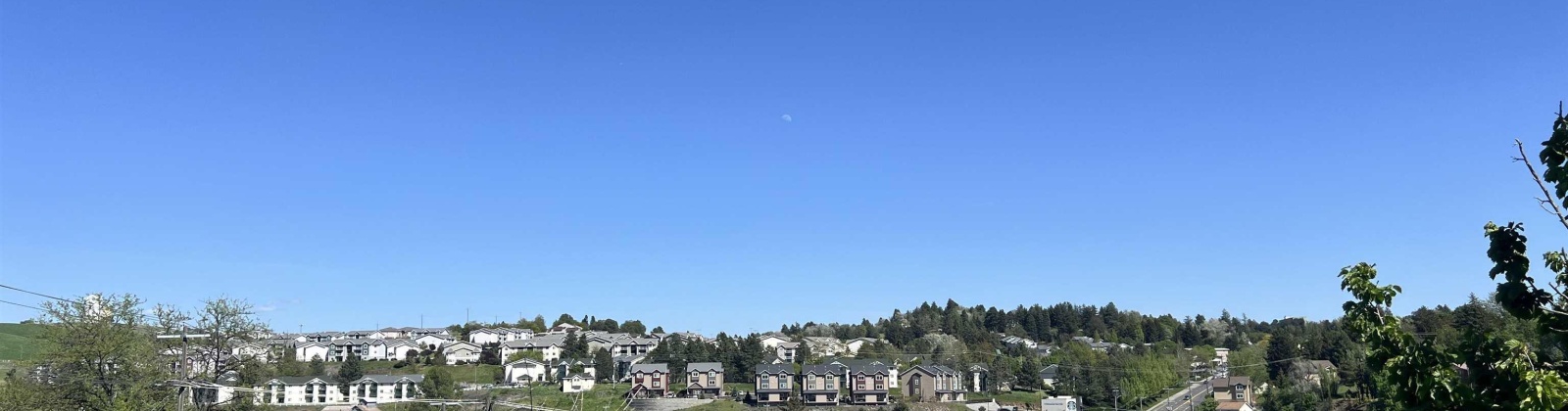 Stadium Way, Pullman, Washington 99163, 6 Bedrooms Bedrooms, 0 ,4 BathroomsBathrooms,Multi-family,For Sale,Stadium Way,0,287996