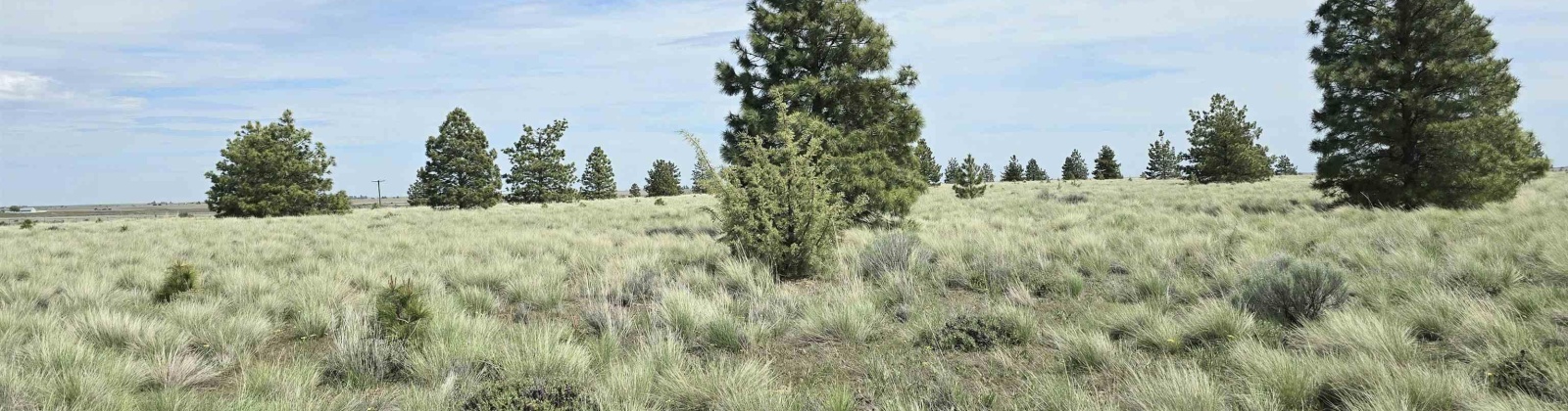 Duree Rd, Bickleton, Washington 99322, 0 , 0 ,0,Agricultural Land,For Sale,Duree Rd,0,288004