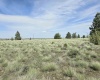 Duree Rd, Bickleton, Washington 99322, 0 , 0 ,0,Agricultural Land,For Sale,Duree Rd,0,288004