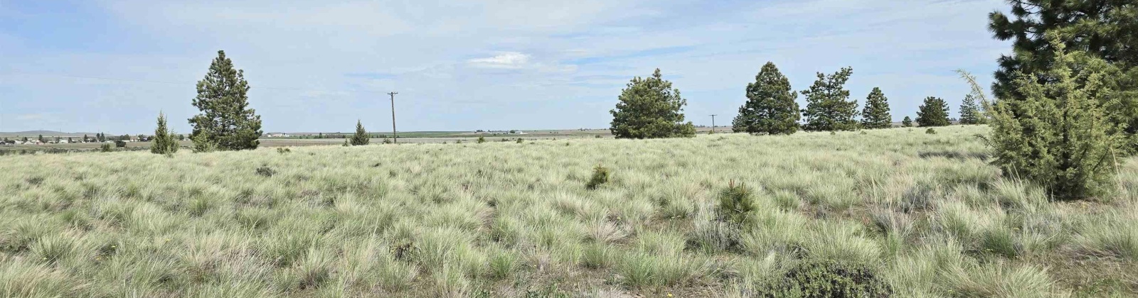 Duree Rd, Bickleton, Washington 99322, 0 , 0 ,0,Agricultural Land,For Sale,Duree Rd,0,288004