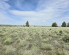 Duree Rd, Bickleton, Washington 99322, 0 , 0 ,0,Agricultural Land,For Sale,Duree Rd,0,288004