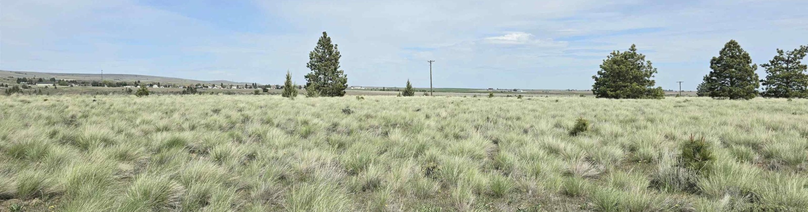 Duree Rd, Bickleton, Washington 99322, 0 , 0 ,0,Agricultural Land,For Sale,Duree Rd,0,288004