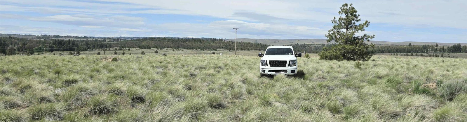 Duree Rd, Bickleton, Washington 99322, 0 , 0 ,0,Agricultural Land,For Sale,Duree Rd,0,288004
