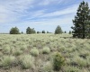 Duree Rd, Bickleton, Washington 99322, 0 , 0 ,0,Agricultural Land,For Sale,Duree Rd,0,288004