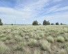 Duree Rd, Bickleton, Washington 99322, 0 , 0 ,0,Agricultural Land,For Sale,Duree Rd,0,288004