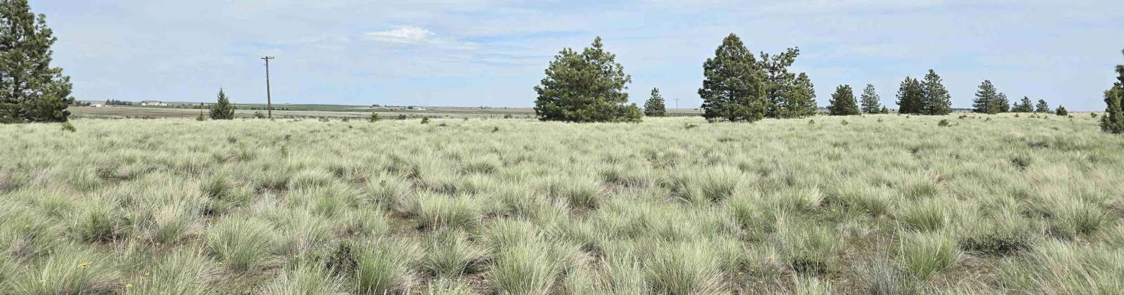 Duree Rd, Bickleton, Washington 99322, 0 , 0 ,0,Agricultural Land,For Sale,Duree Rd,0,288004