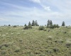 Duree Rd, Bickleton, Washington 99322, 0 , 0 ,0,Agricultural Land,For Sale,Duree Rd,0,288004