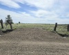 Duree Rd, Bickleton, Washington 99322, 0 , 0 ,0,Agricultural Land,For Sale,Duree Rd,0,288004