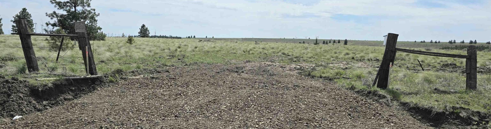 Duree Rd, Bickleton, Washington 99322, 0 , 0 ,0,Agricultural Land,For Sale,Duree Rd,0,288004