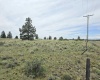 Duree Rd, Bickleton, Washington 99322, 0 , 0 ,0,Agricultural Land,For Sale,Duree Rd,0,288004