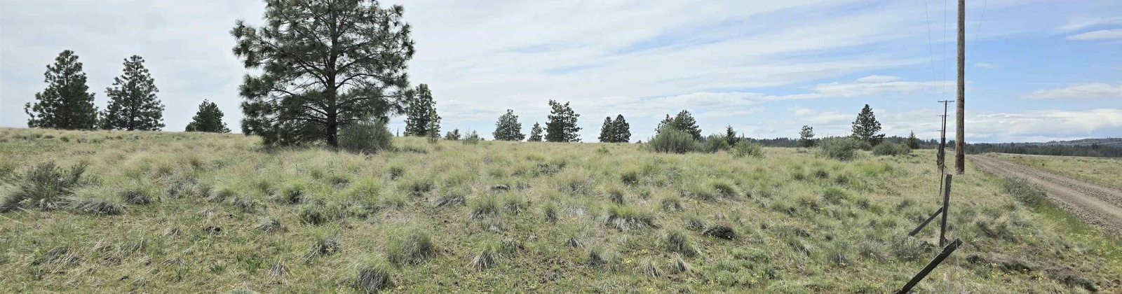 Duree Rd, Bickleton, Washington 99322, 0 , 0 ,0,Agricultural Land,For Sale,Duree Rd,0,288004