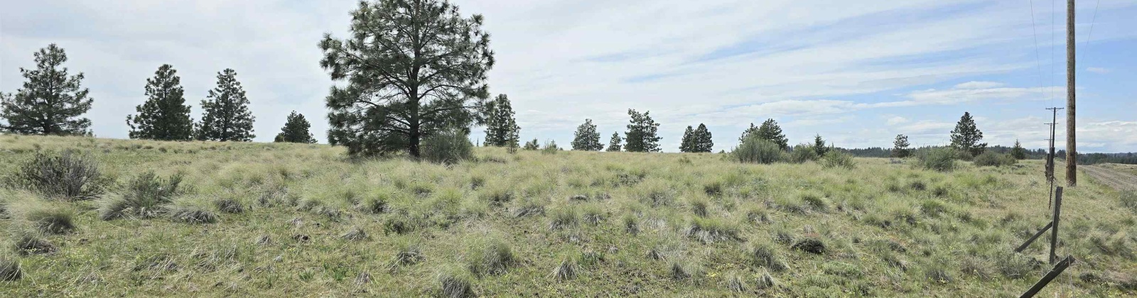 Duree Rd, Bickleton, Washington 99322, 0 , 0 ,0,Agricultural Land,For Sale,Duree Rd,0,288004