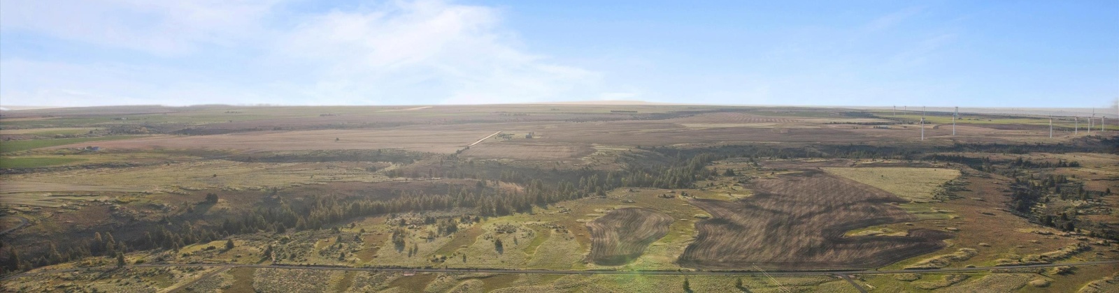 Duree Rd, Bickleton, Washington 99322, 0 , 0 ,0,Agricultural Land,For Sale,Duree Rd,0,288004