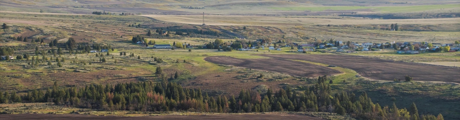 Duree Rd, Bickleton, Washington 99322, 0 , 0 ,0,Agricultural Land,For Sale,Duree Rd,0,288004