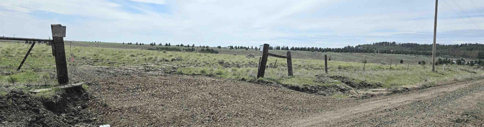 Duree Rd, Bickleton, Washington 99322, 0 , 0 ,0,Agricultural Land,For Sale,Duree Rd,0,288004
