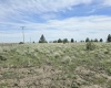 Duree Rd, Bickleton, Washington 99322, 0 , 0 ,0,Agricultural Land,For Sale,Duree Rd,0,288004