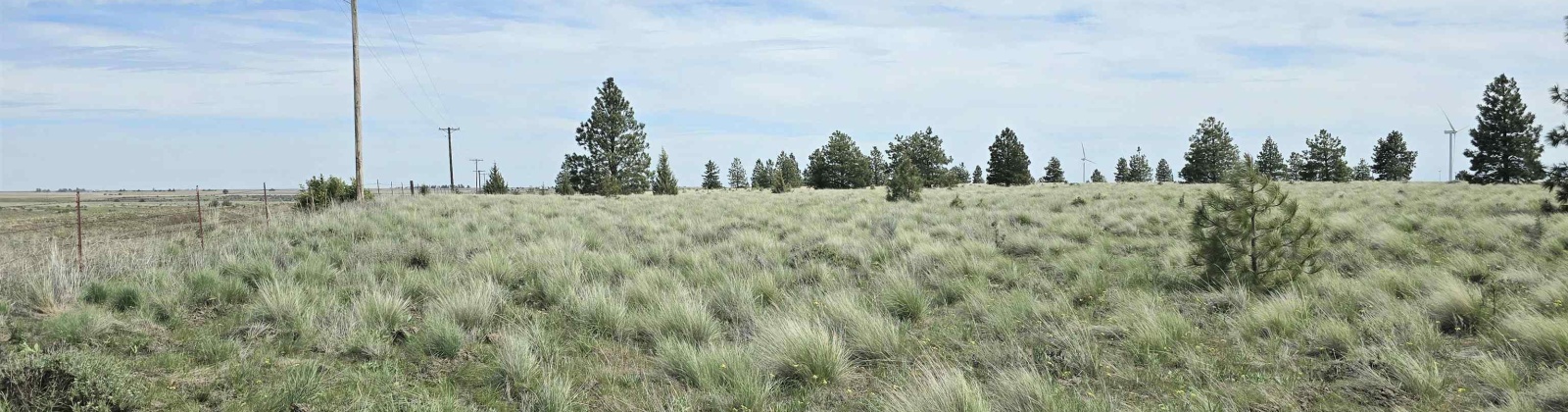 Duree Rd, Bickleton, Washington 99322, 0 , 0 ,0,Agricultural Land,For Sale,Duree Rd,0,288004