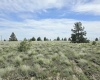 Duree Rd, Bickleton, Washington 99322, 0 , 0 ,0,Agricultural Land,For Sale,Duree Rd,0,288004