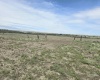Duree Rd, Bickleton, Washington 99322, 0 , 0 ,0,Agricultural Land,For Sale,Duree Rd,0,288004