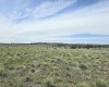 Duree Rd, Bickleton, Washington 99322, 0 , 0 ,0,Agricultural Land,For Sale,Duree Rd,0,288004