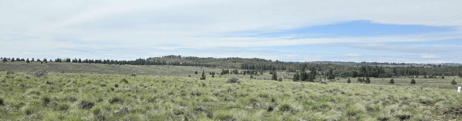 Duree Rd, Bickleton, Washington 99322, 0 , 0 ,0,Agricultural Land,For Sale,Duree Rd,0,288004