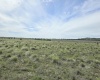 Duree Rd, Bickleton, Washington 99322, 0 , 0 ,0,Agricultural Land,For Sale,Duree Rd,0,288004