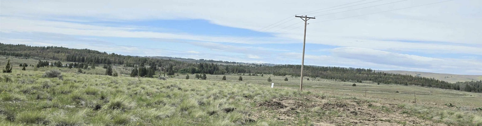 Duree Rd, Bickleton, Washington 99322, 0 , 0 ,0,Agricultural Land,For Sale,Duree Rd,0,288004