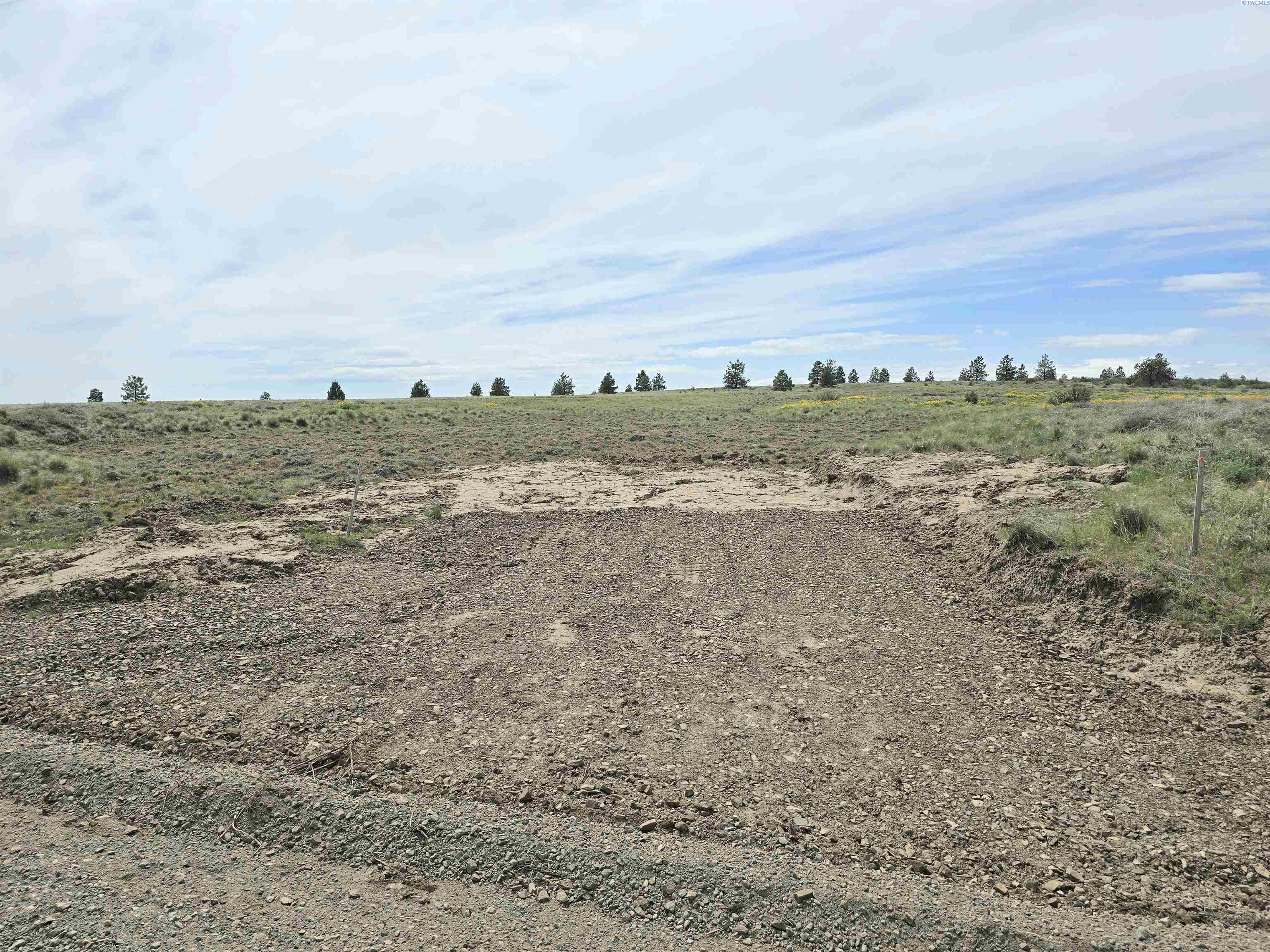 MIDDLE RD, Bickleton, Washington 99322, 0 , 0 ,0,Agricultural Land,For Sale,MIDDLE RD,0,288005