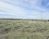 MIDDLE RD, Bickleton, Washington 99322, 0 , 0 ,0,Agricultural Land,For Sale,MIDDLE RD,0,288005