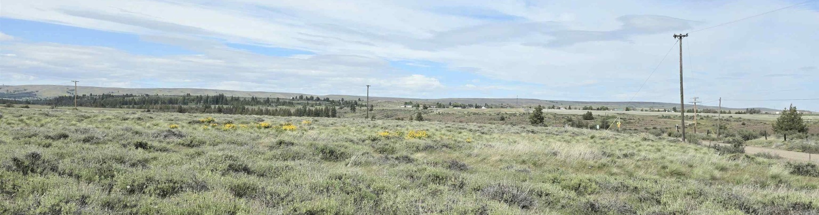 MIDDLE RD, Bickleton, Washington 99322, 0 , 0 ,0,Agricultural Land,For Sale,MIDDLE RD,0,288005