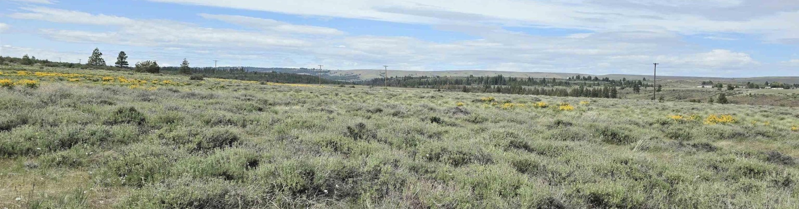 MIDDLE RD, Bickleton, Washington 99322, 0 , 0 ,0,Agricultural Land,For Sale,MIDDLE RD,0,288005
