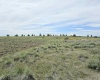 MIDDLE RD, Bickleton, Washington 99322, 0 , 0 ,0,Agricultural Land,For Sale,MIDDLE RD,0,288005