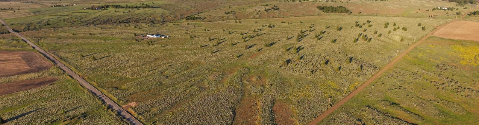 MIDDLE RD, Bickleton, Washington 99322, 0 , 0 ,0,Agricultural Land,For Sale,MIDDLE RD,0,288005