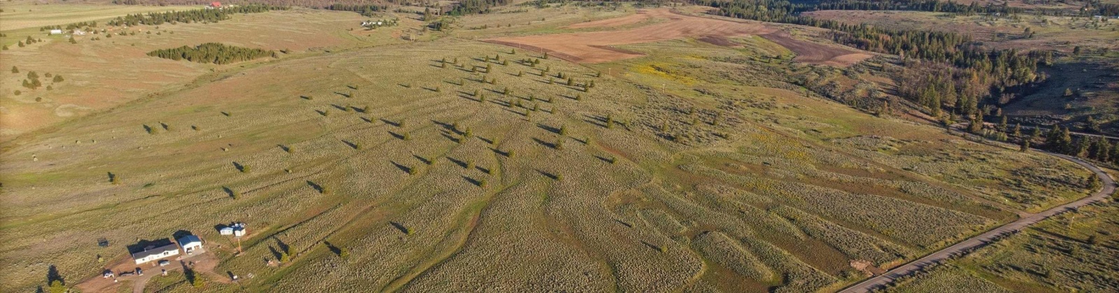 MIDDLE RD, Bickleton, Washington 99322, 0 , 0 ,0,Agricultural Land,For Sale,MIDDLE RD,0,288005