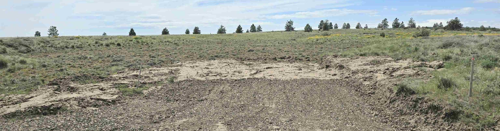 MIDDLE RD, Bickleton, Washington 99322, 0 , 0 ,0,Agricultural Land,For Sale,MIDDLE RD,0,288005