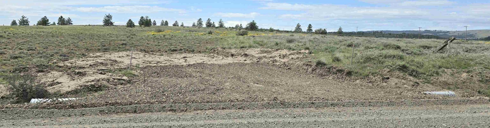 MIDDLE RD, Bickleton, Washington 99322, 0 , 0 ,0,Agricultural Land,For Sale,MIDDLE RD,0,288005