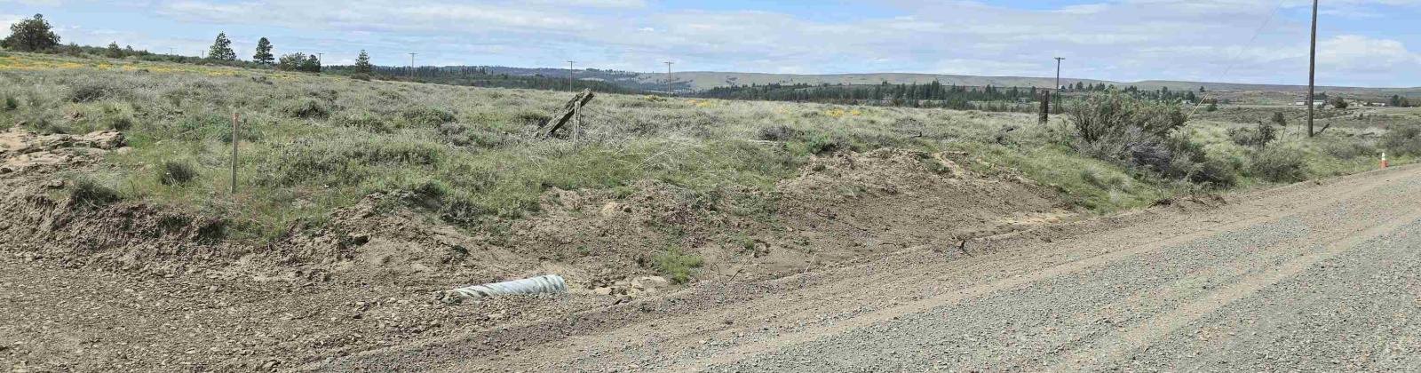 MIDDLE RD, Bickleton, Washington 99322, 0 , 0 ,0,Agricultural Land,For Sale,MIDDLE RD,0,288005