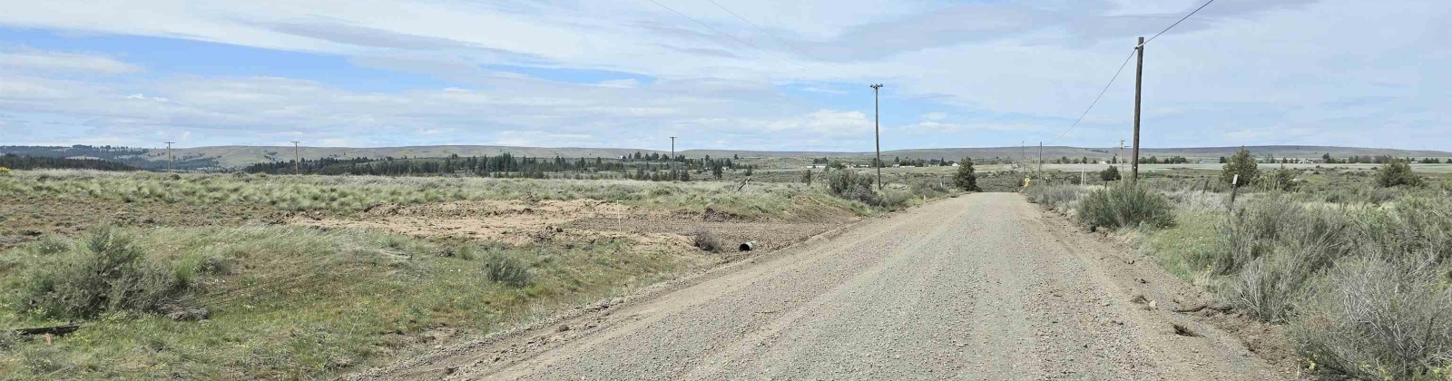 MIDDLE RD, Bickleton, Washington 99322, 0 , 0 ,0,Agricultural Land,For Sale,MIDDLE RD,0,288005