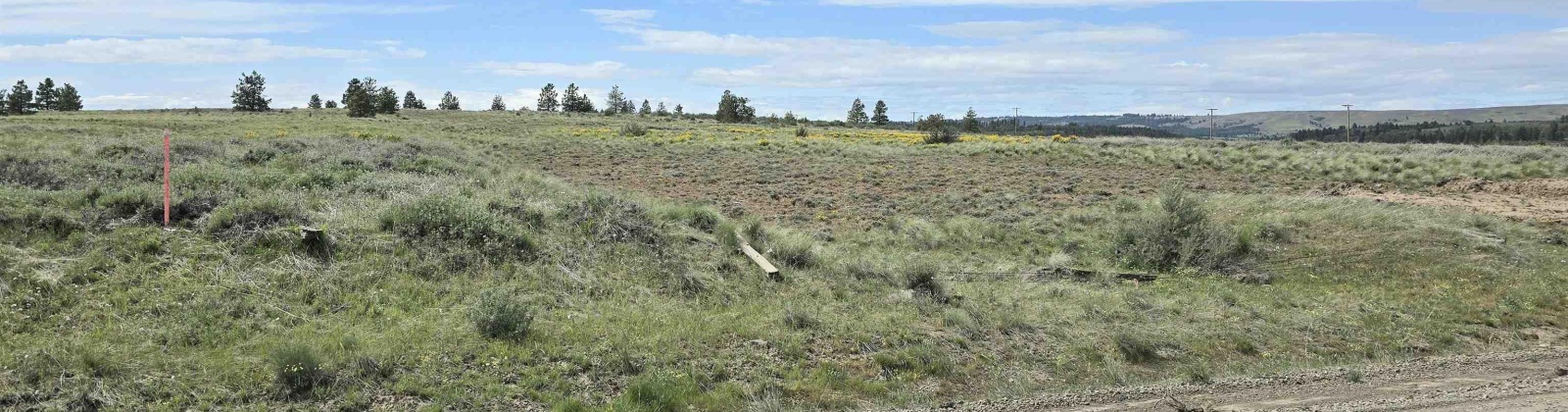 MIDDLE RD, Bickleton, Washington 99322, 0 , 0 ,0,Agricultural Land,For Sale,MIDDLE RD,0,288005