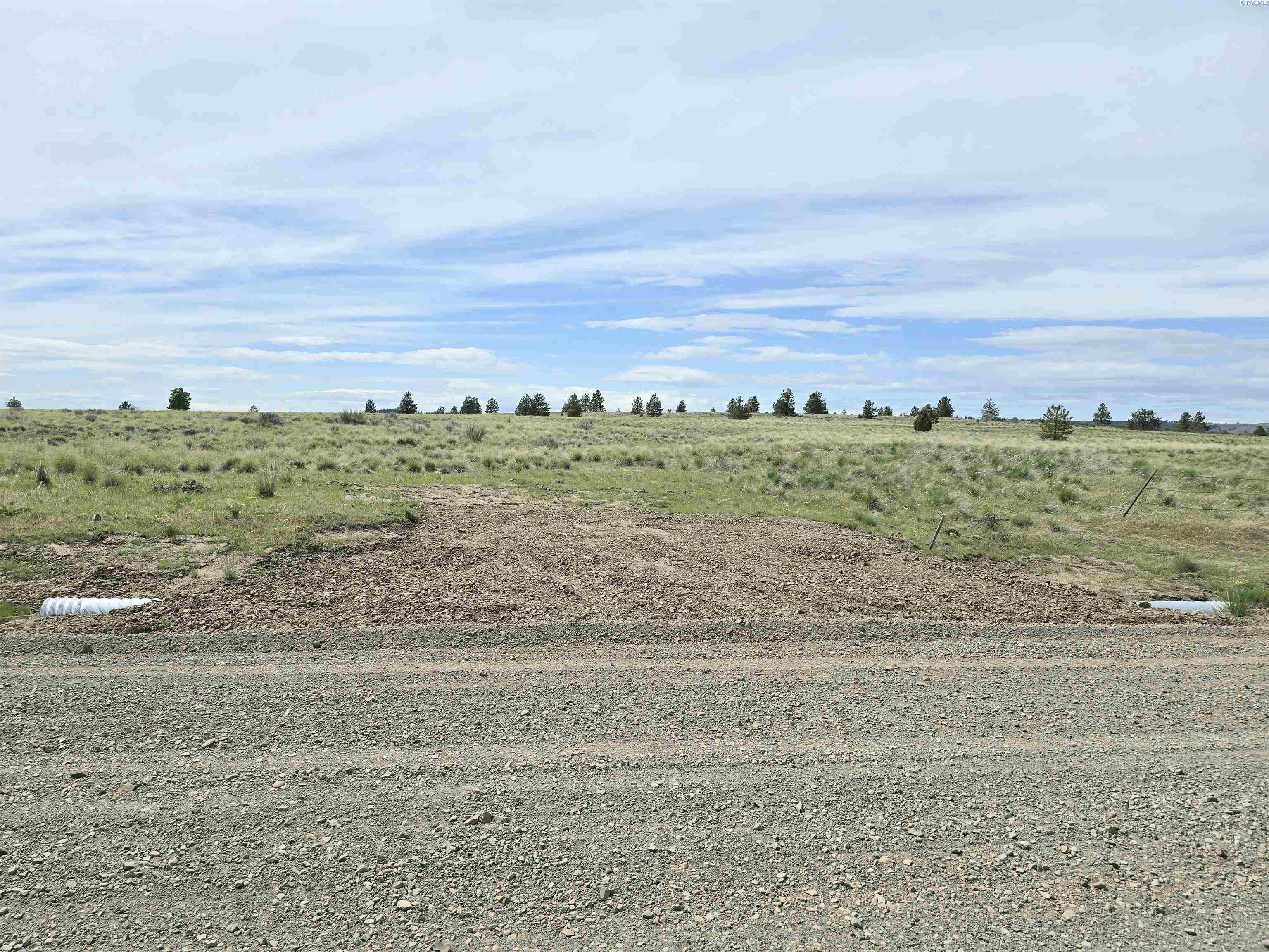MIDDLE RD, Bickleton, Washington 99322, 0 , 0 ,0,Agricultural Land,For Sale,MIDDLE RD,0,288006
