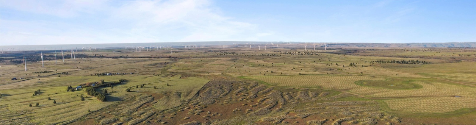 MIDDLE RD, Bickleton, Washington 99322, 0 , 0 ,0,Agricultural Land,For Sale,MIDDLE RD,0,288006